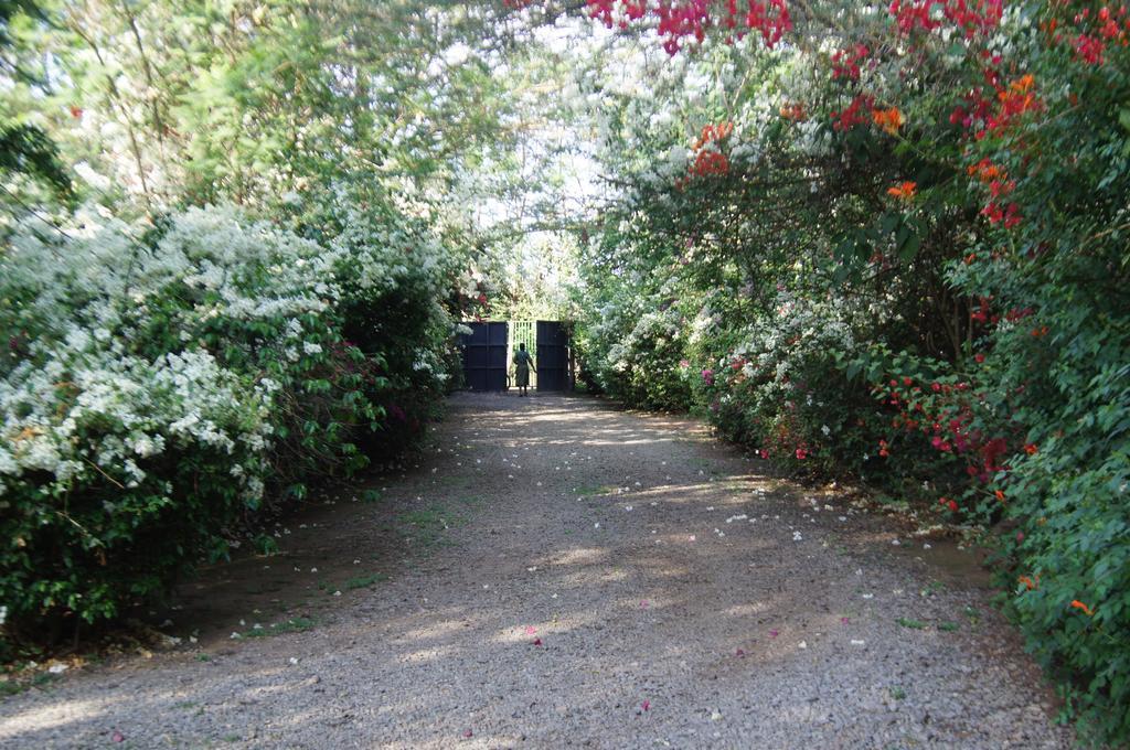 Meru House Lekisilai Arusha Luaran gambar