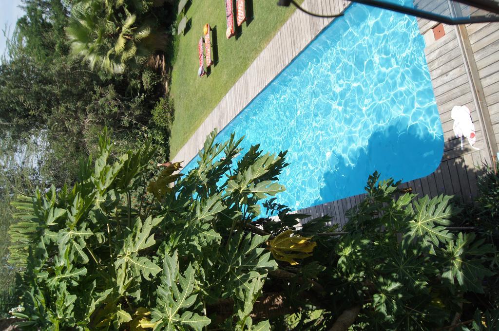 Meru House Lekisilai Arusha Luaran gambar